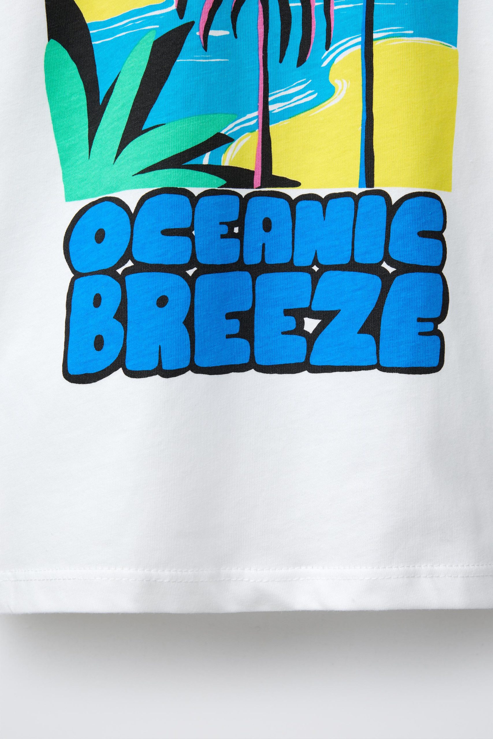 تیشرت یقه گرد پنبهای با طراحی چاپی از برند زارا