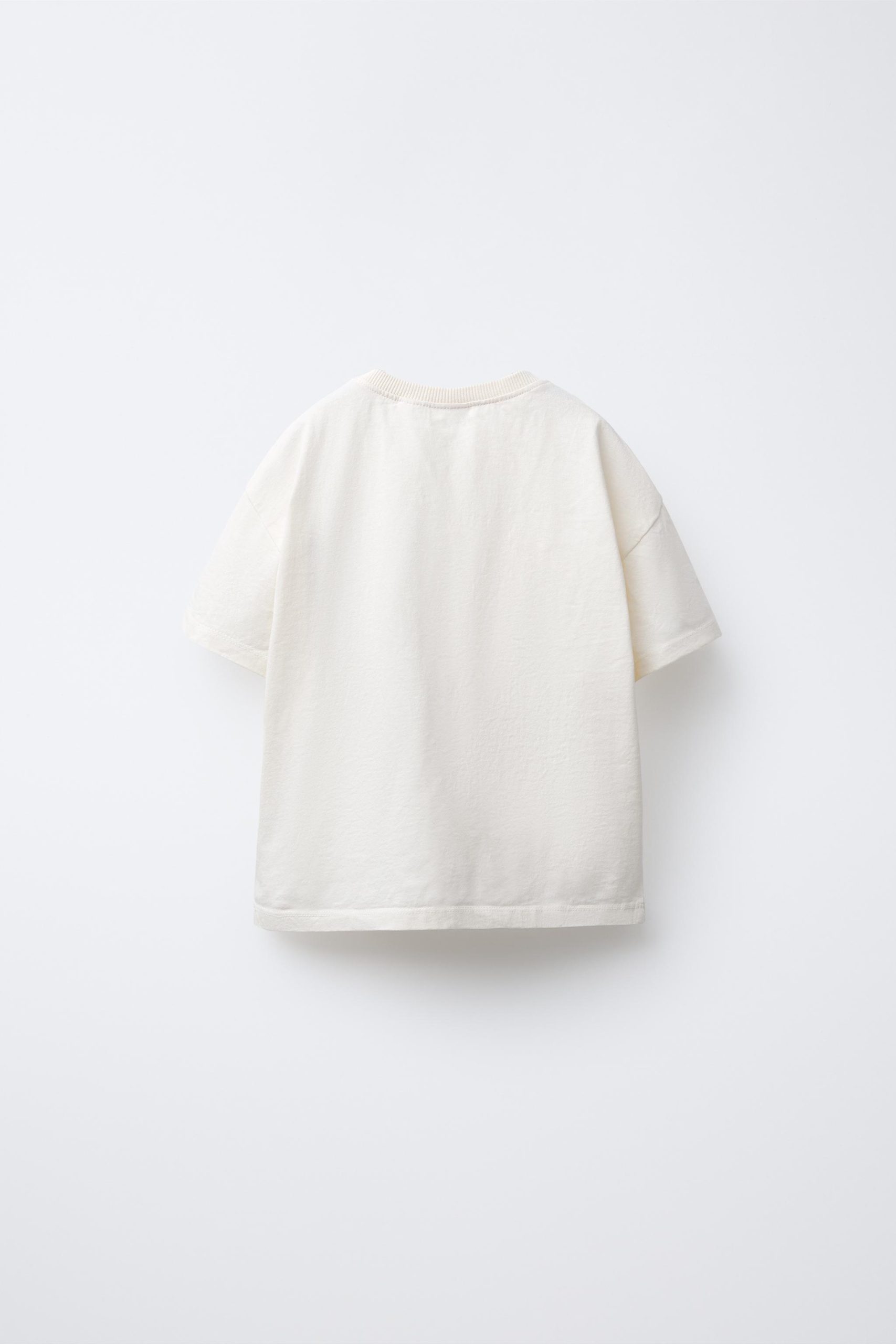 تیشرت پنبهای یقه گرد گلدوزی شده از برند زارا