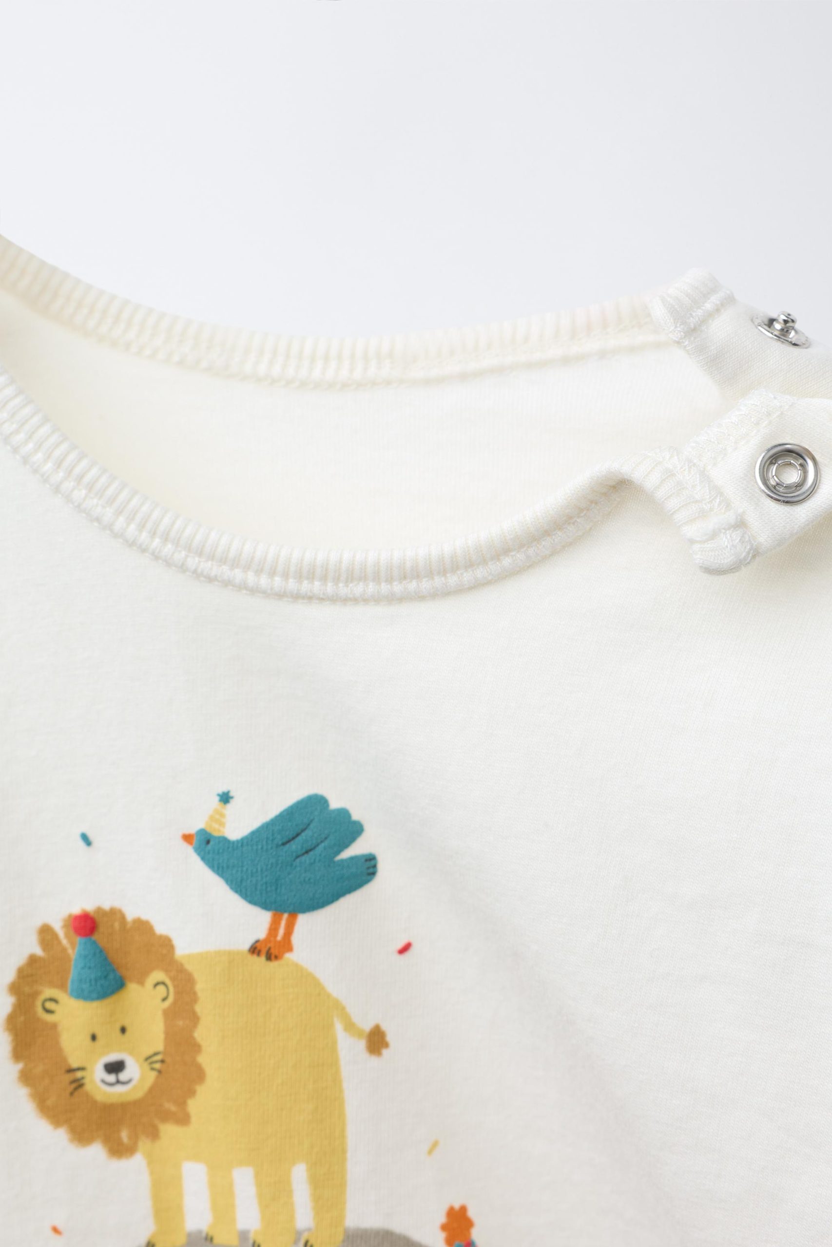 تیشرت آستین بلند با طرح حیوانات از برند زارا (بچه گانه)