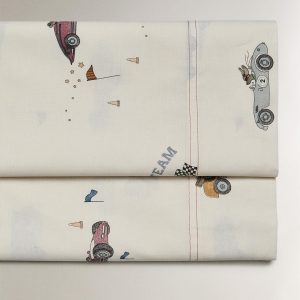 روکش بالشت طرح سگ مسابقه‌ای درخشان از برند زارا