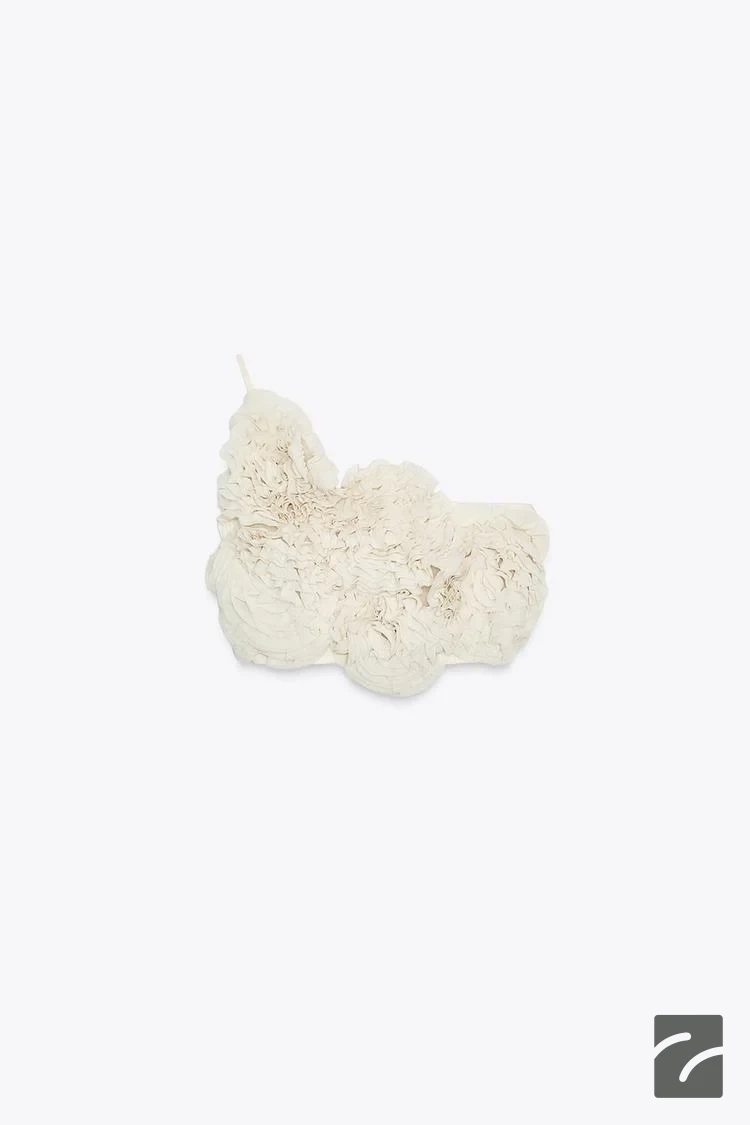 تاپ کراپ یقه صاف با جزئیات گل از برند زارا (زنانه)